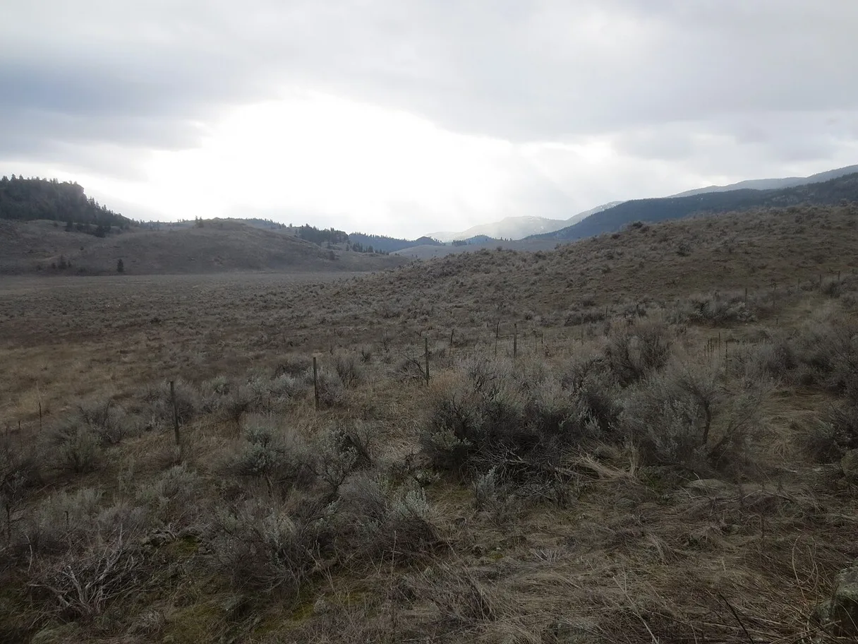 Columbia Plateau