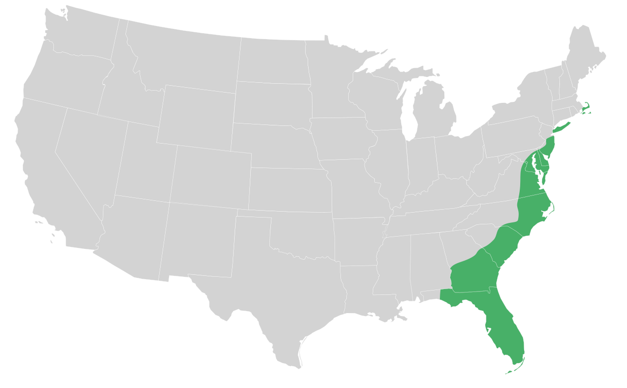 Gulf Coastal Plain